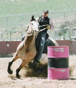 Dawn Mutchelknaus - Equine Trainer and Competitor