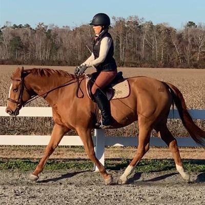 Lorie Walking Horse