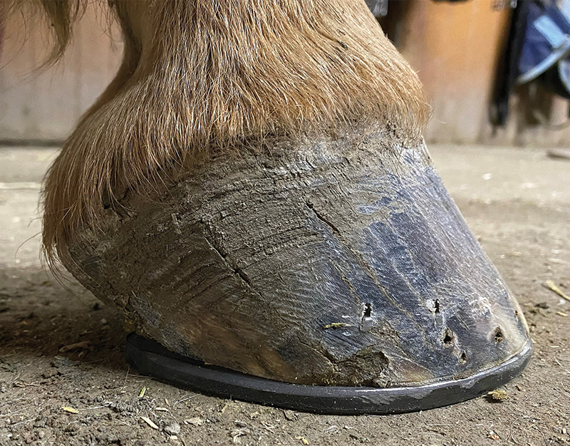 Ken J Hoof after
