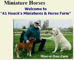 A1 Houck's Miniatures & Horse Farm Testimonial