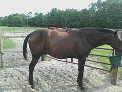 Jeannette H. Testimonial