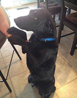 Sandi W. Testimonial